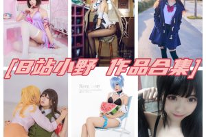 小野妹子w写真合集，48套精品收费图资源